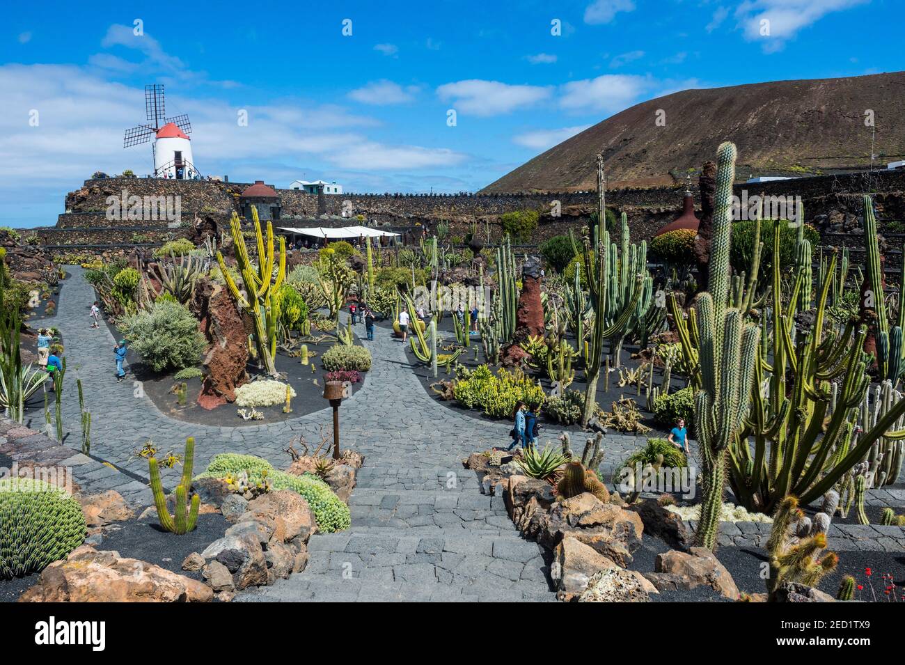 Jardin de Cactus, giardino di cactus Cesar Manrique, Lanzarote, isole Canarie Foto Stock
