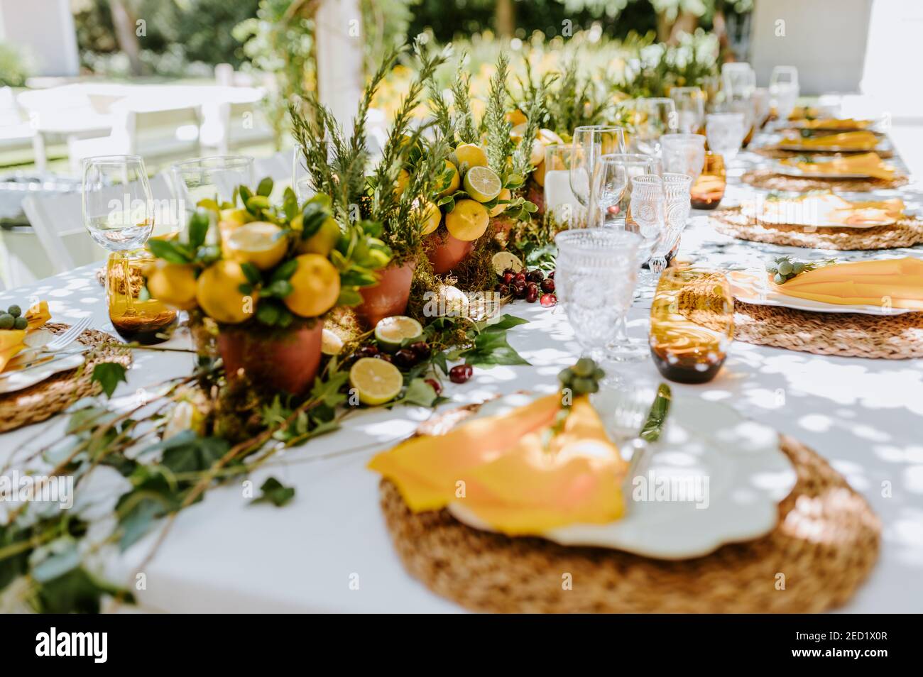Tavolo lungo servito con bicchieri e piatti e decorato con composizioni di limone con piante Foto Stock