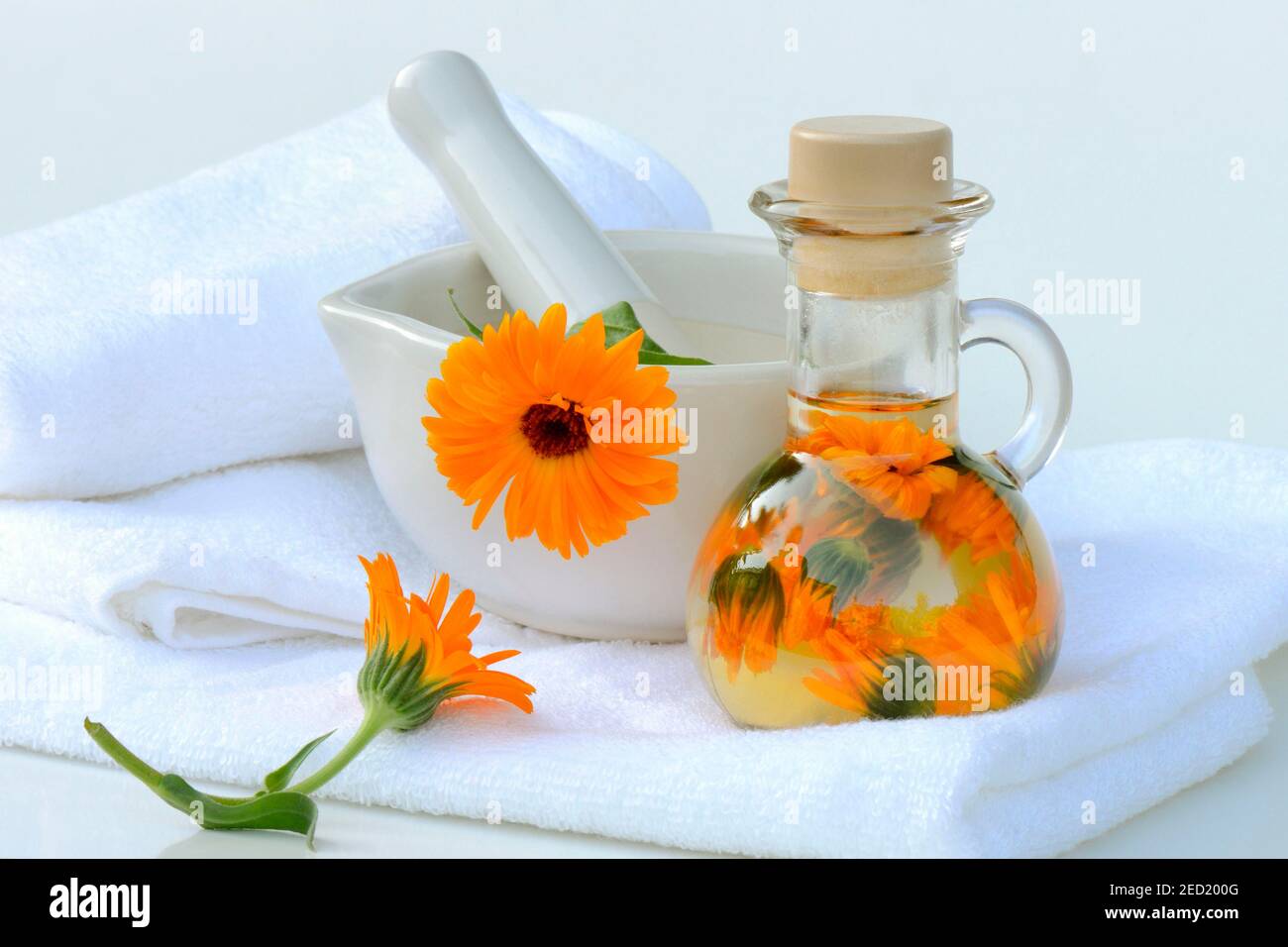 Olio di calendula in bottiglia, olio di Calendula Foto Stock