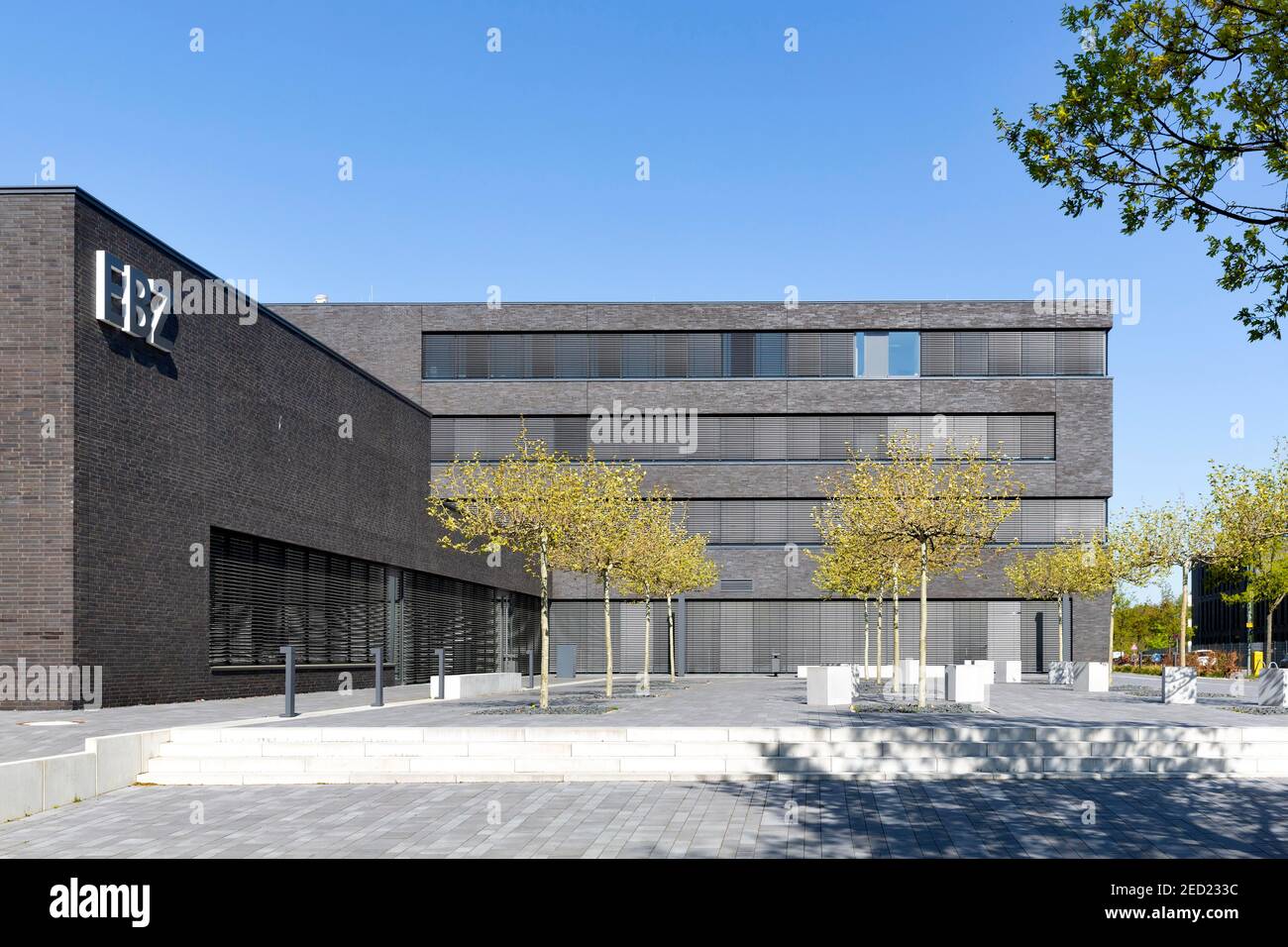 EBZ Business School, Centro europeo di formazione per l'edilizia abitativa e immobiliare, Innovation Park Springorum, Bochum, Ruhr Area, Nord Foto Stock