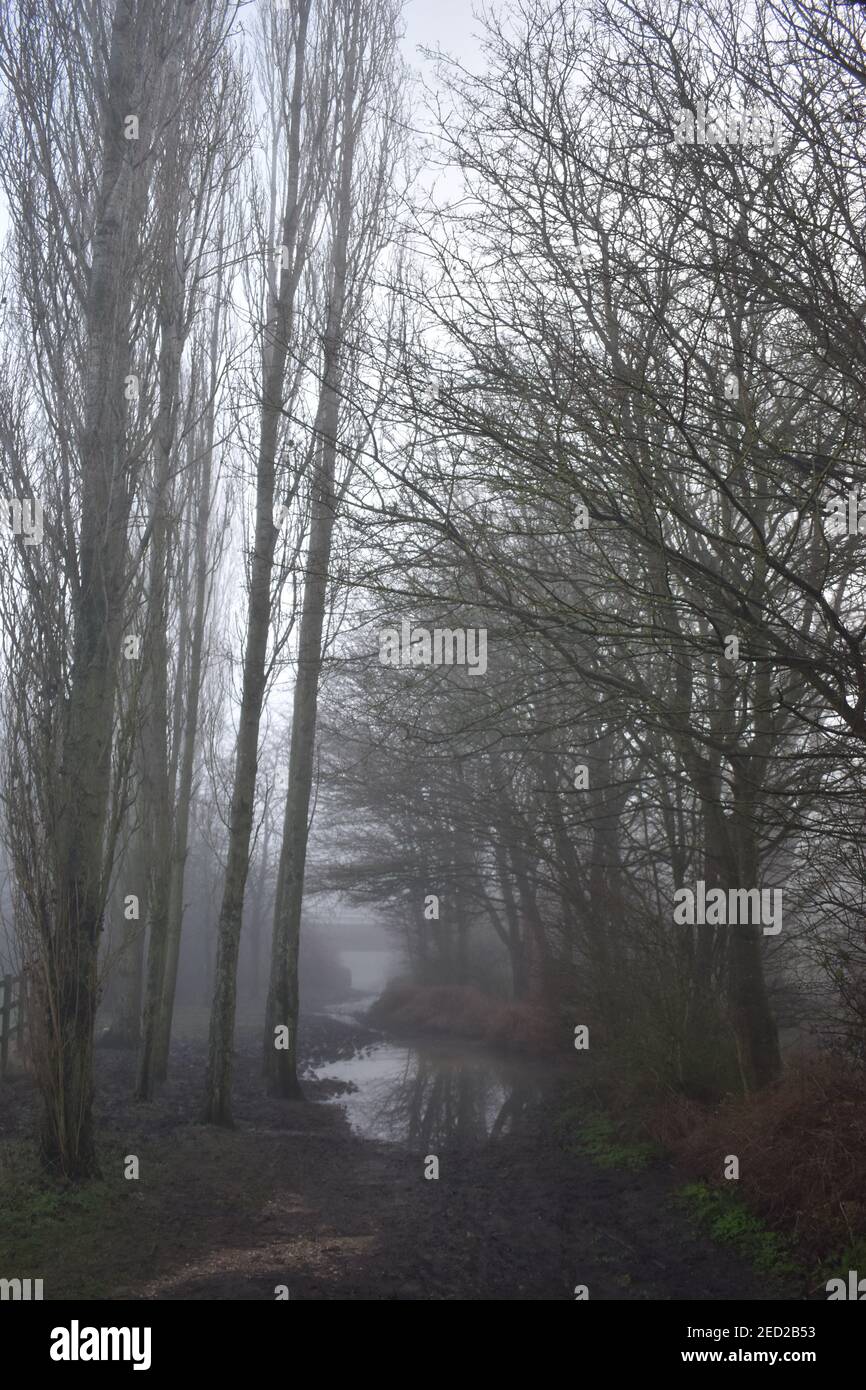 Una giornata di nebbia nel Tattenhoe Valley Park a Milton Keynes. Foto Stock