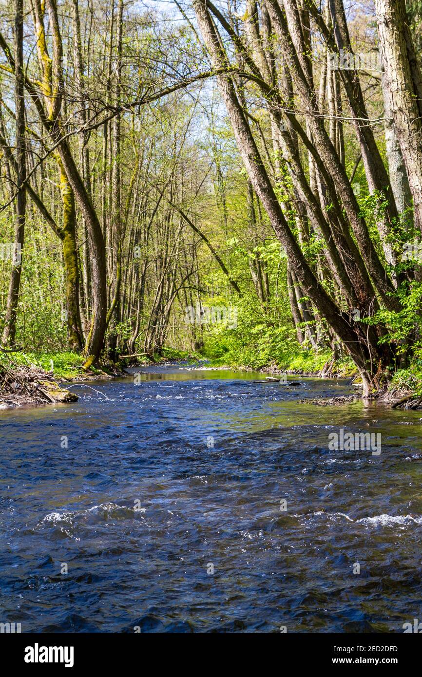 Die Selke im Harz Foto Stock