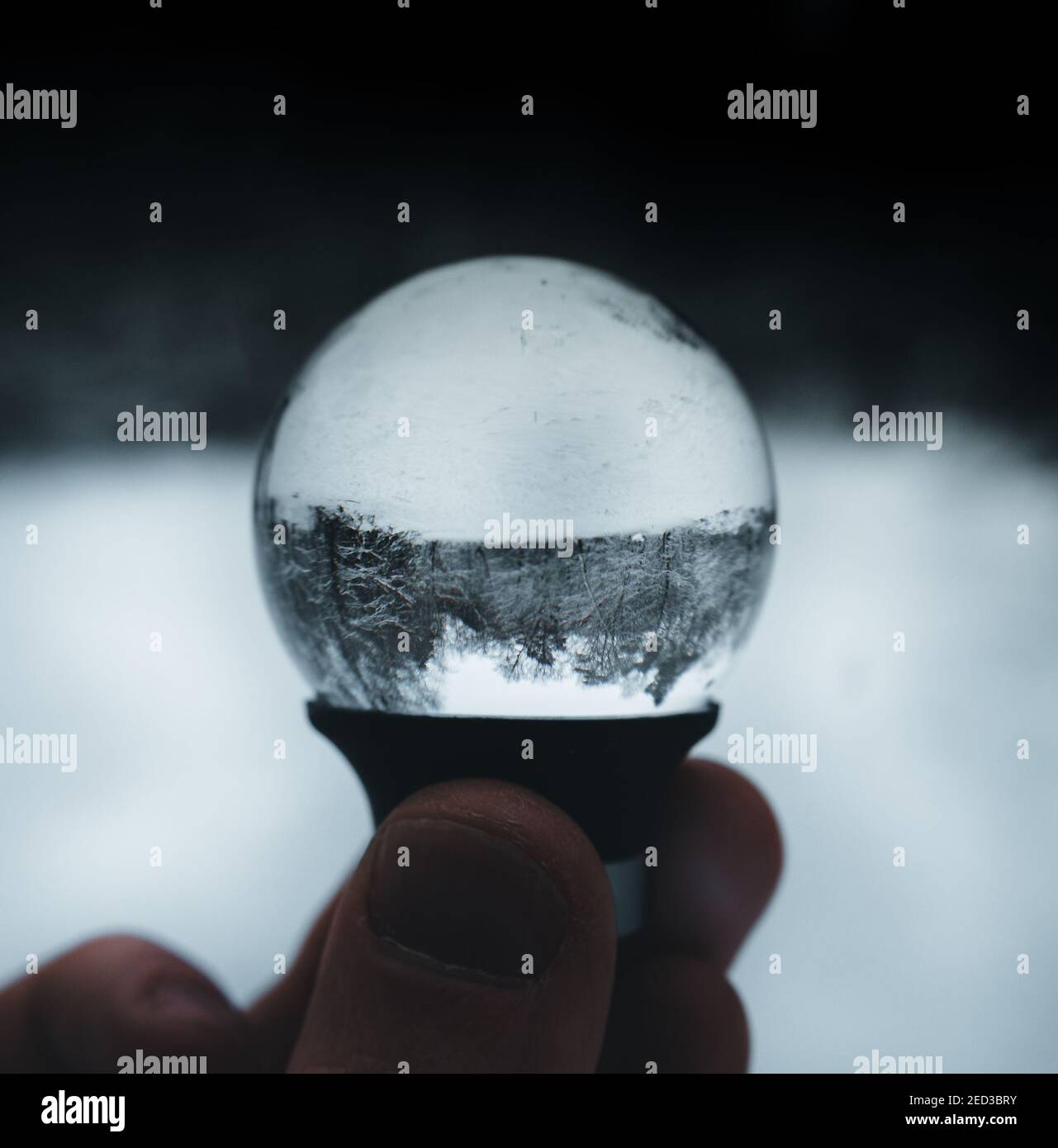 Scene d'inverno Foto Stock