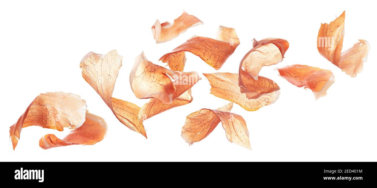 Cada fette di jamon, prosciutto iberico isolato su sfondo bianco Foto Stock