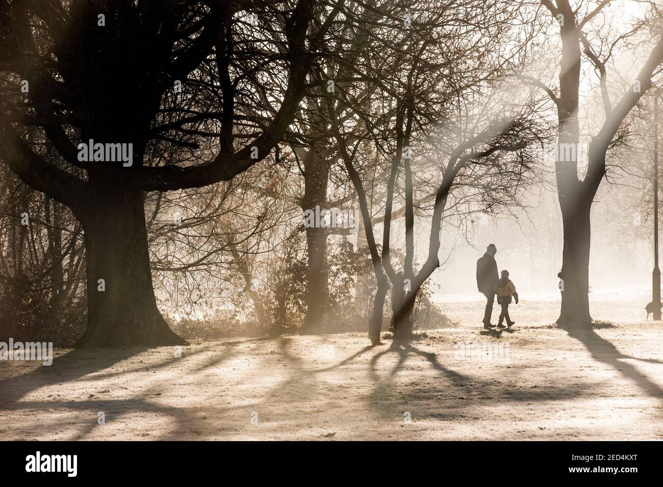 Un padre e un bambino tengono le mani su una passeggiata sopra Una giornata gelida in un parco londinese Foto Stock