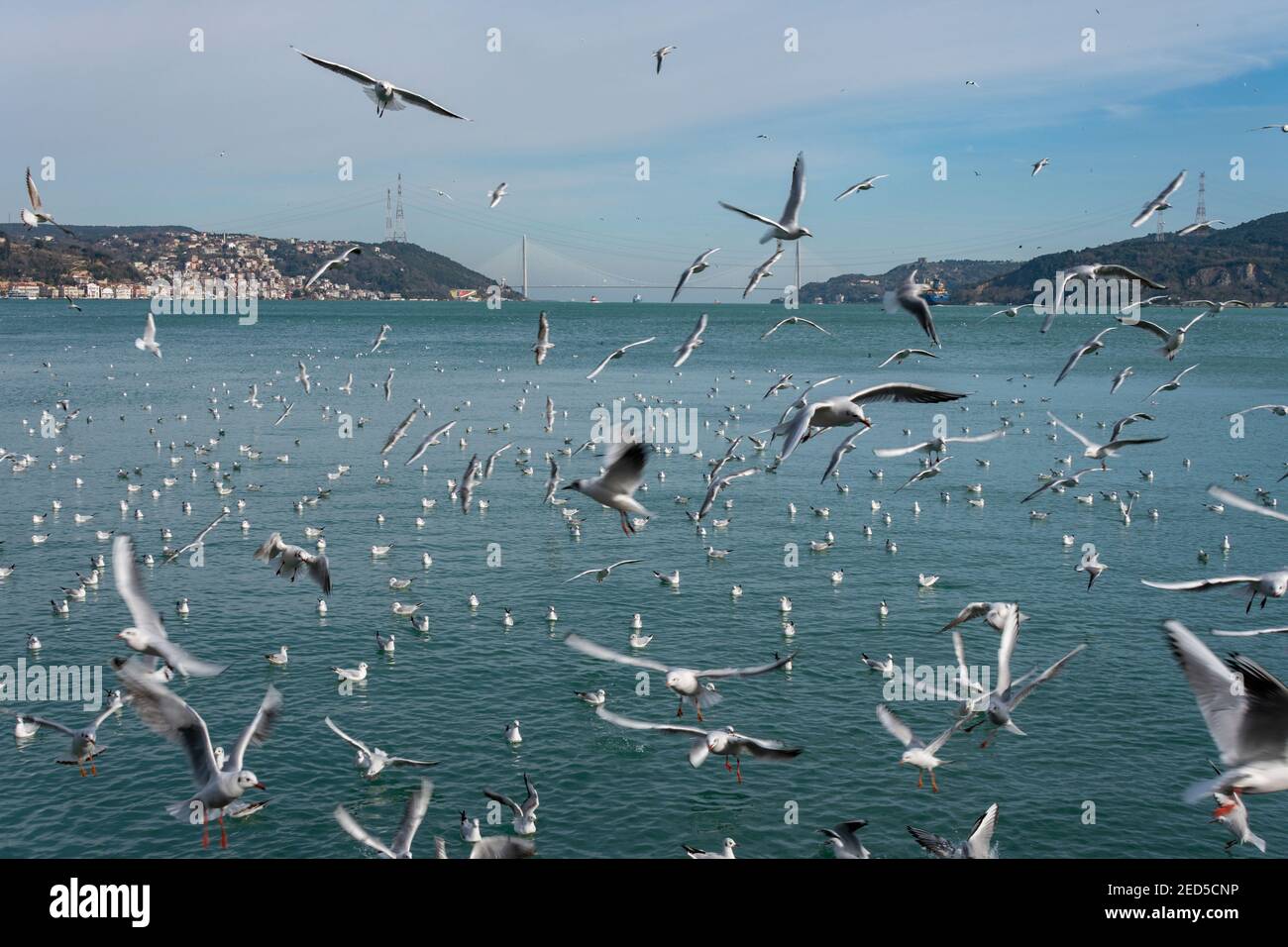 Lo stretto del Bosforo, Istanbul, Turchia Foto Stock