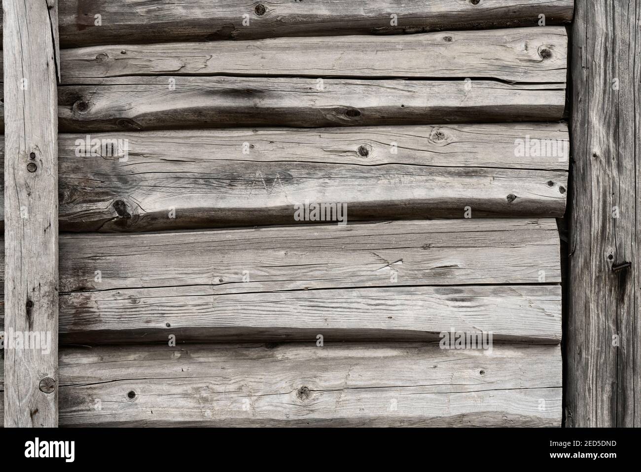 Schermo con un ampio numero di parallelo tronchi di legno texture Foto Stock