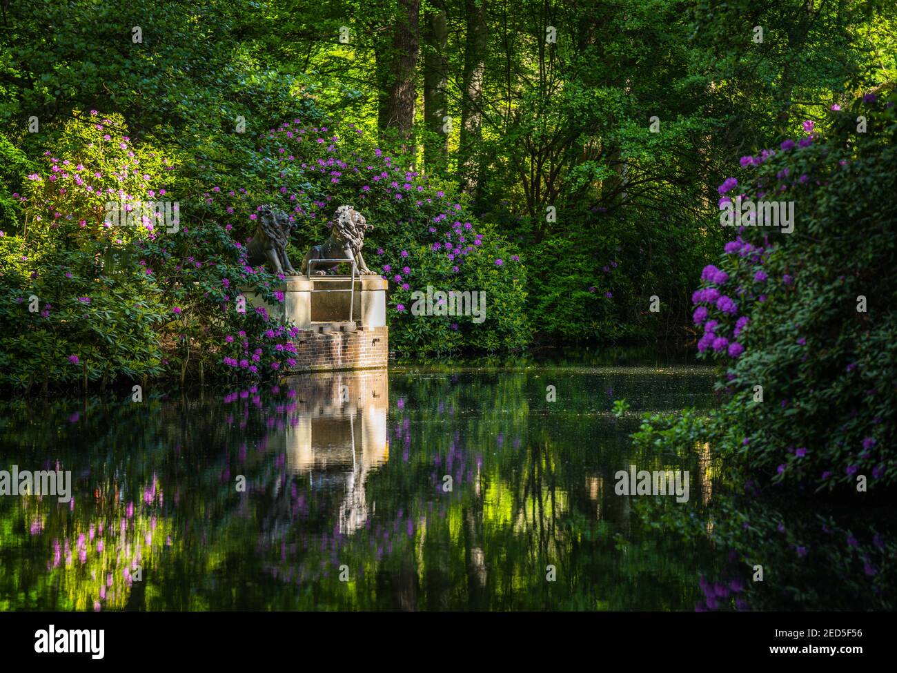 Mattinata di sole nel parco Tiergarten, Berlino Foto Stock