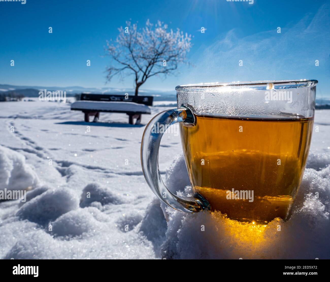 bere tè fresco in un paesaggio invernale Foto Stock