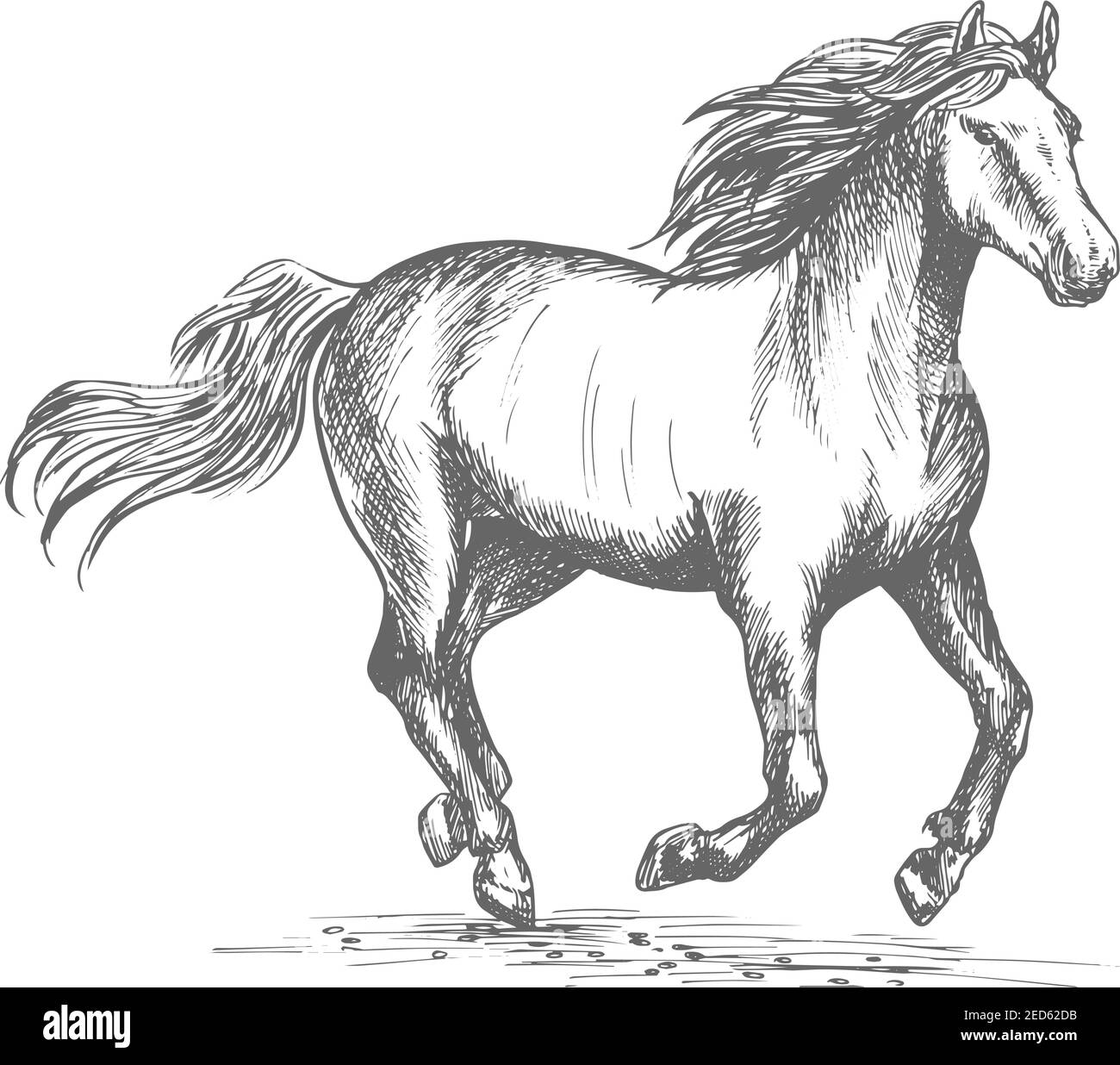 Segno sportivo di corse di cavalli. Stallone di mustang bianco in veloce corsa di galoppo. Simbolo di schizzo vettoriale per club di cavalli, bookmaker di scommesse. Galoppo Horse mare in wi Illustrazione Vettoriale