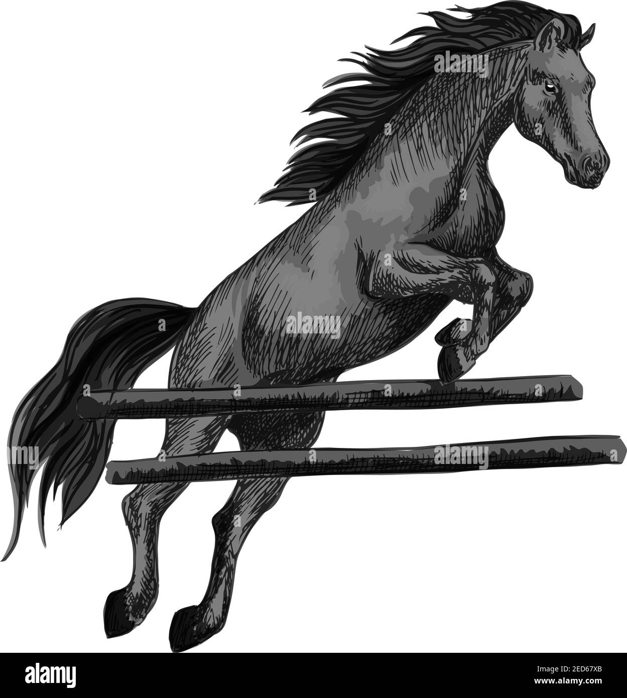 Cavallo nero corsa mustang saltando sopra barriera e correndo su cavalli. Vetector sketch cavallo stallone per gare equestri sport e scommesse, cavallo sbarazzato Illustrazione Vettoriale