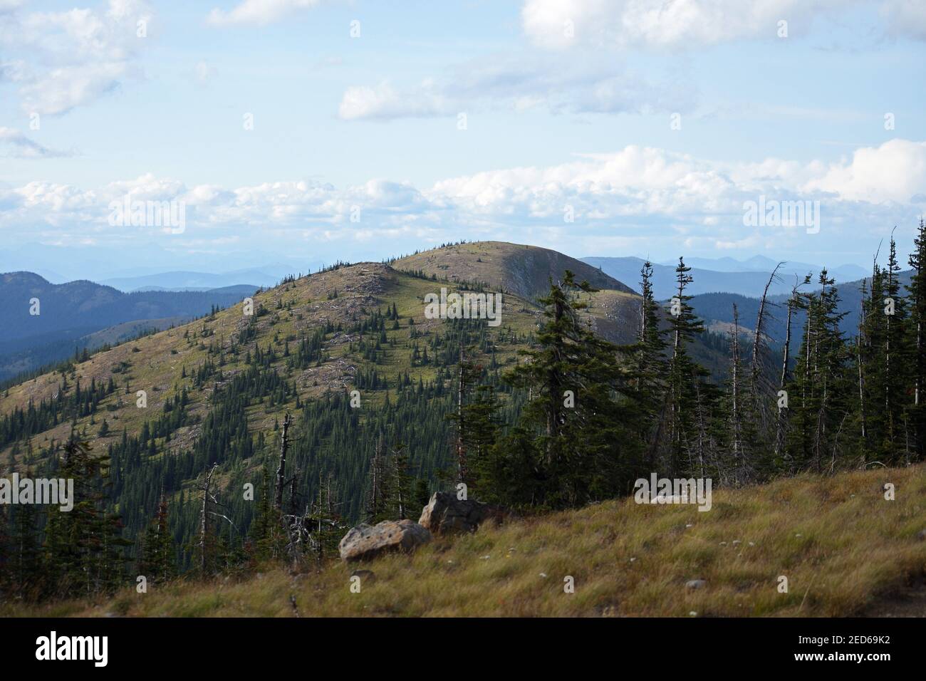 Buckhorn Ridge Roadless Area lungo il Montana Idaho divide in estate. Kootenai National Forest nelle Purcell Mountains. (Foto di Randy Beacham) Foto Stock
