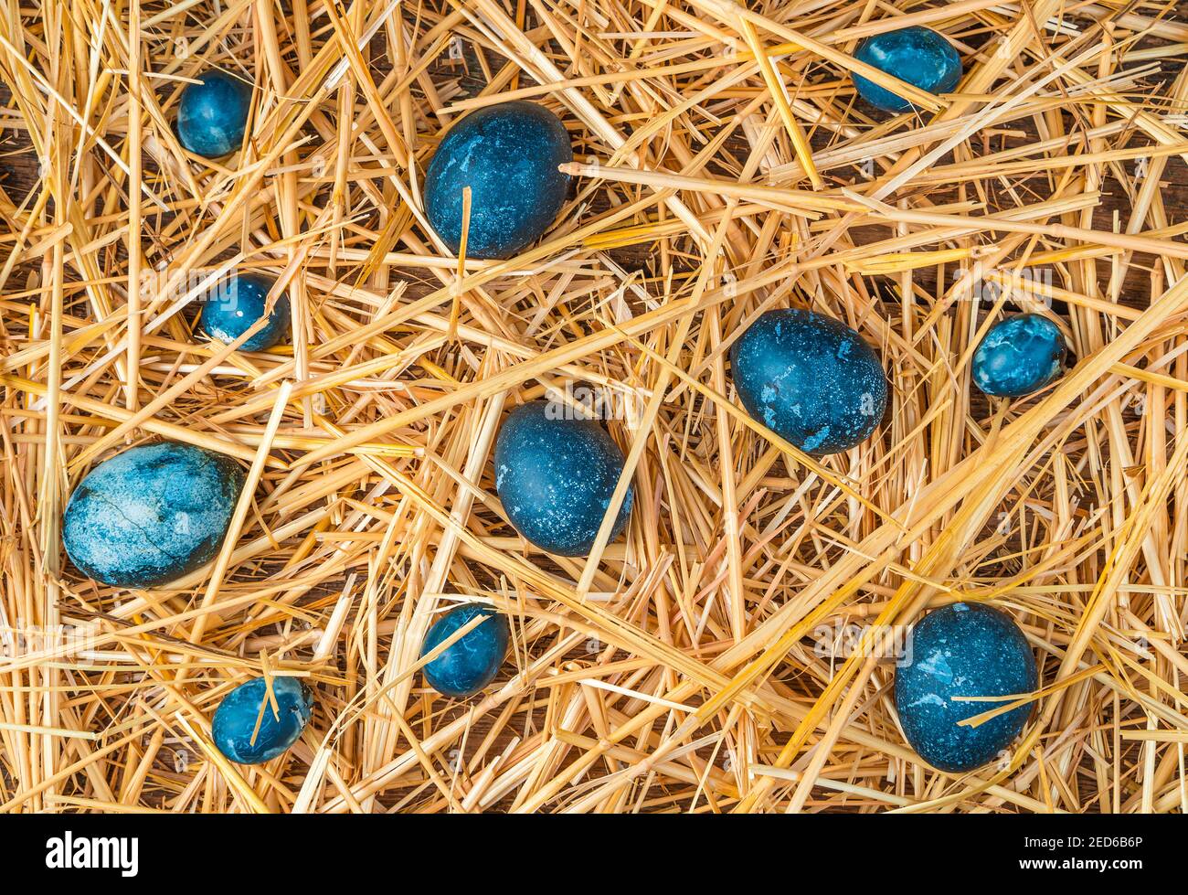 Sfondo con uova blu su paglia gialla. Il concetto di Pasqua. Foto Stock