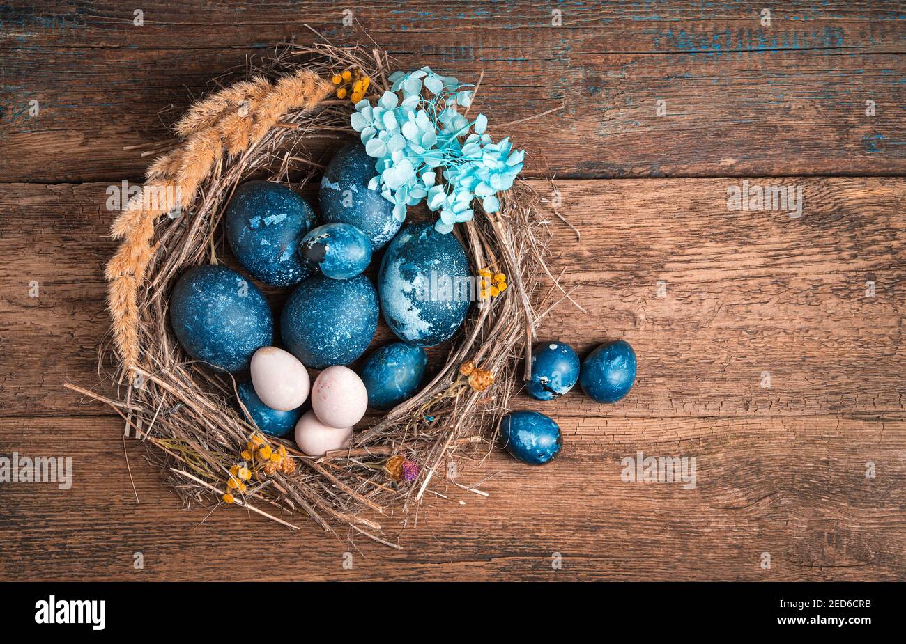Sfondo pasquale con quaglia e uova blu di pollo su sfondo di legno. Foto Stock