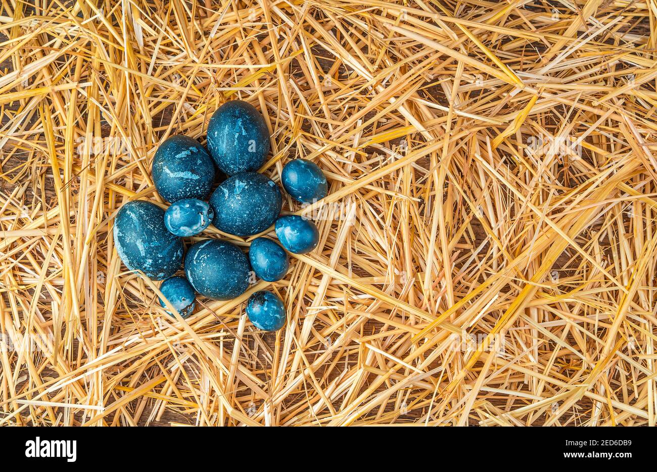 Le uova blu-marmo di diverse dimensioni sono concentrate in un gruppo sulla paglia. Foto Stock