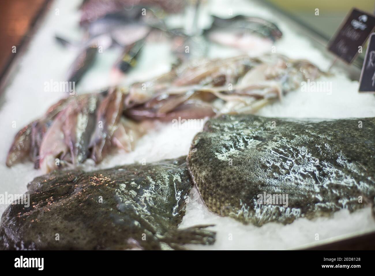 Primo piano di pesce appena sistemato su un letto di ghiaccio tritato, presso il mercato principale di Cattaro lungo la banchina a Kotor Bay. Foto Stock