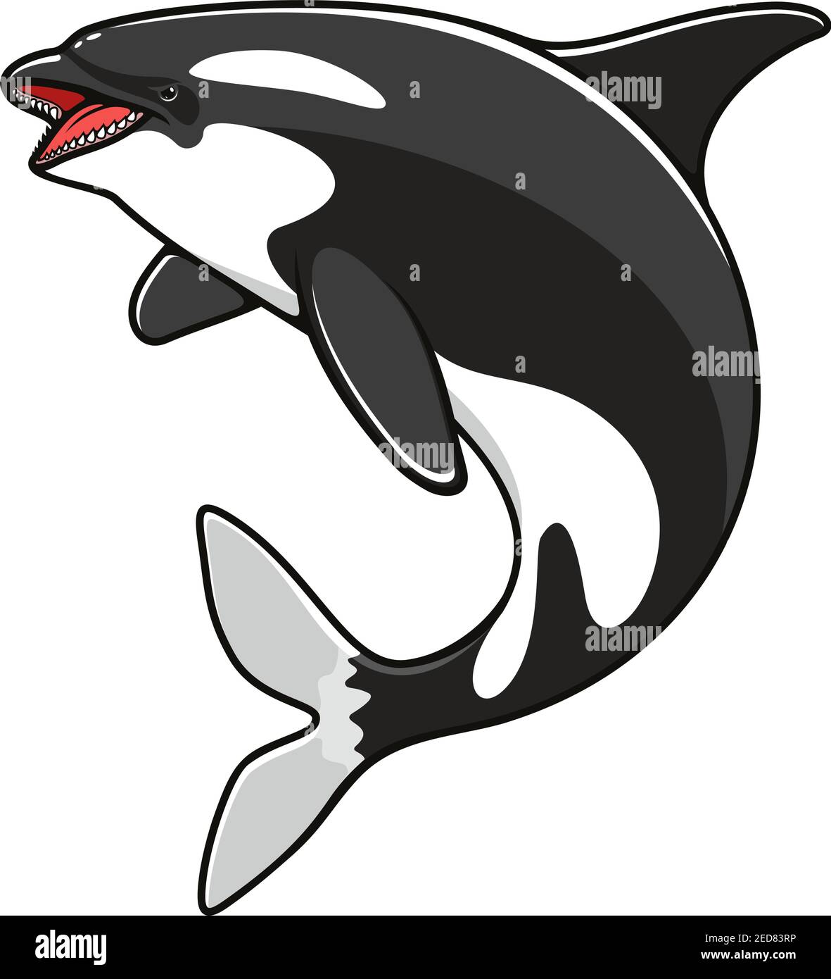 Orca o balena killer, simbolo del pesce grampus. Mammifero marino o nautico, grande animale subacqueo e creatura con denti che saltano sopra, predatore di nuoto. S Illustrazione Vettoriale