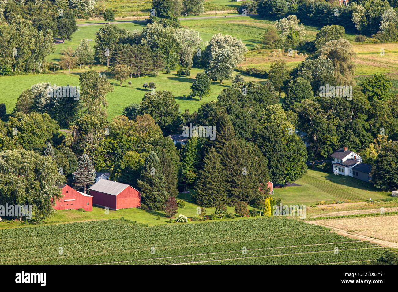 Vista dal monte Sugarloaf, riserva statale del monte Sugarloaf, South Deerfield, Massachusetts Foto Stock