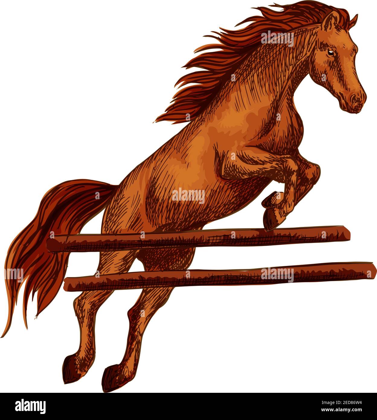 Mustang arabo marrone che salta sopra la barriera e corre su cavalli. Vetector sketch cavallo stallone per corse ippiche sportive, equitazione, equitazione r Illustrazione Vettoriale