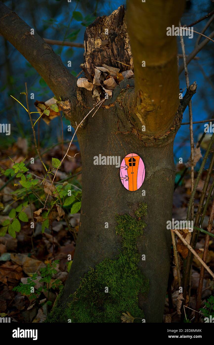 Piccola porta comica in Tree Foto Stock