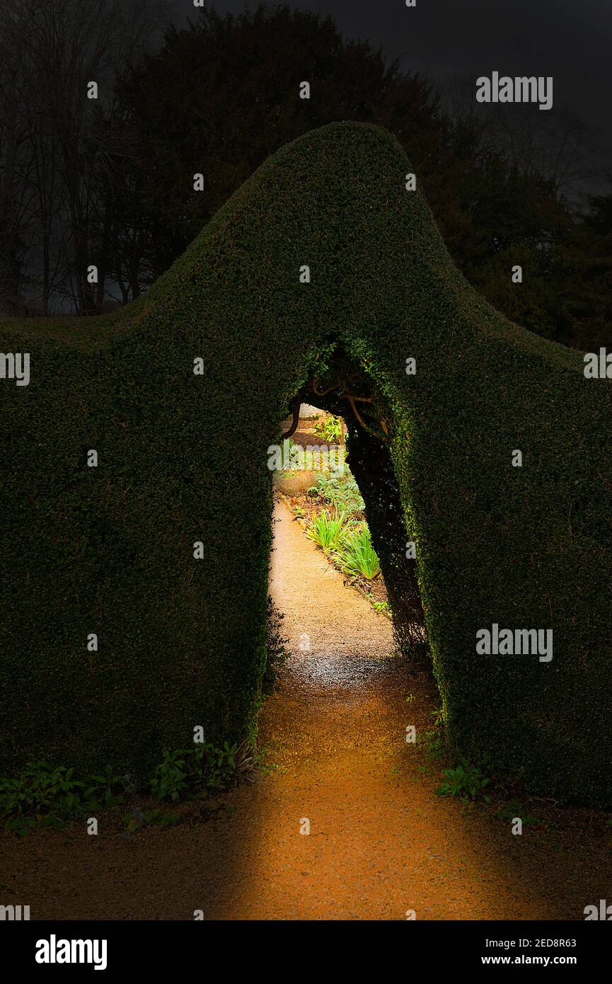 Notte in giorno attraverso l'ingresso della siepe al misterioso giardino Foto Stock