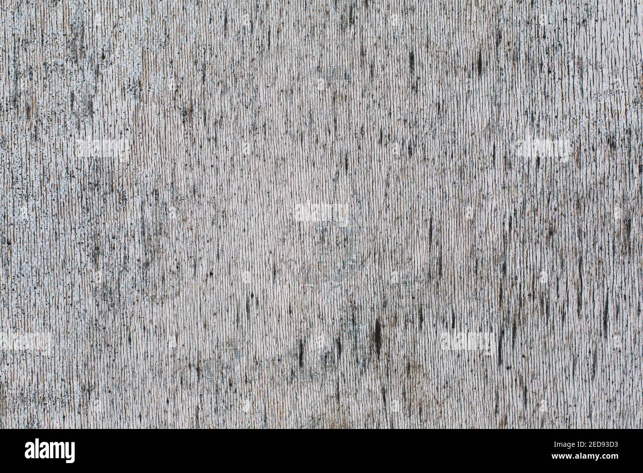 Superfici, fondo formato con piastra di legno Foto Stock