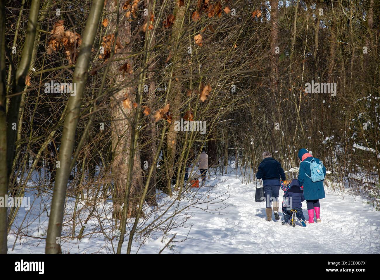 La famiglia cammina in un paesaggio innevato con la foresta ad Achterhoek, Olanda Foto Stock
