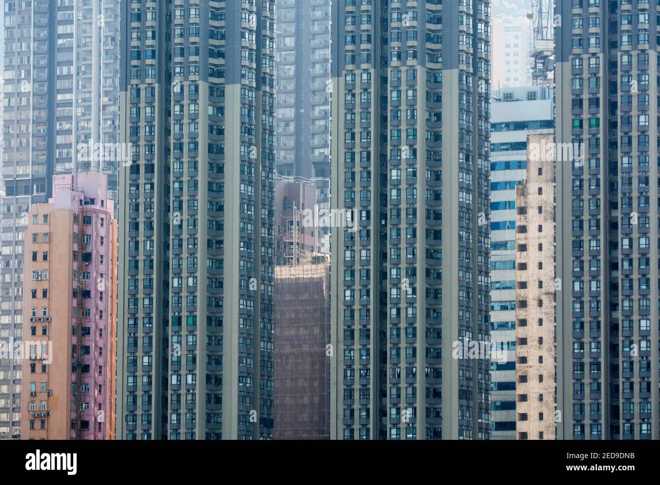 Densa vista della facciata di alti blocchi abitati e grattacieli con appartamenti e uffici, racchiuso strettamente in una piccola area nel quartiere di North Point di Hong Kong, sull'Isola di Hong Kong. © Olli Geibel Foto Stock