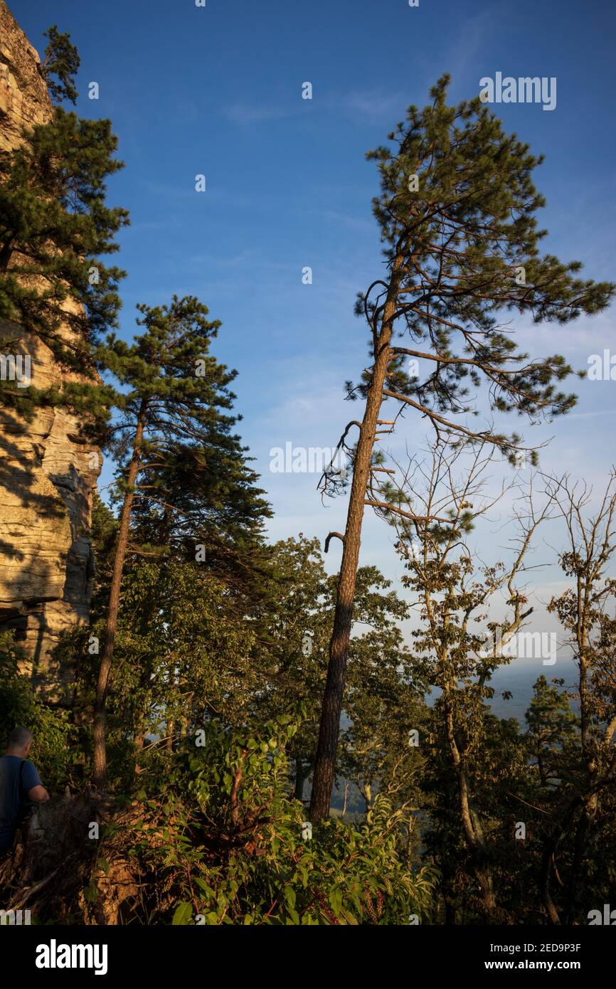 Vista panoramica di Big Pinnacle, Pilot Mountain state Park, North Carolina Foto Stock