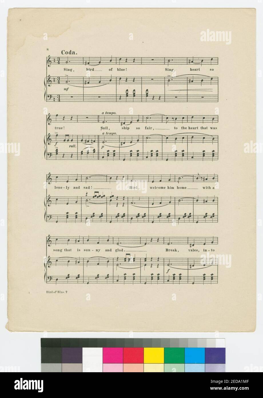 Uccello del blu - canto valzer Foto Stock