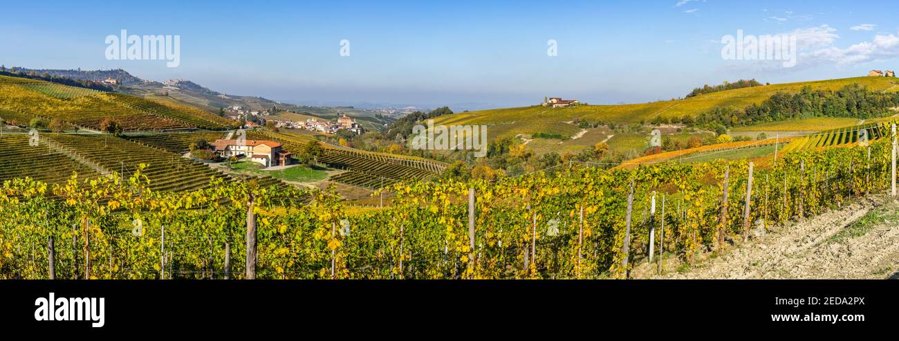 Ampia vista panoramica sui vigneti delle Langhe vicino a Barolo, patrimonio dell'umanità dell'UNESCO, regione piemontese, Italia Foto Stock