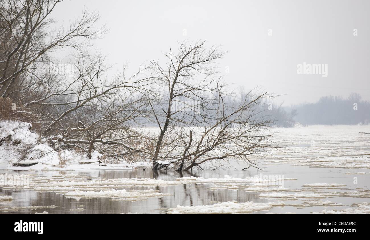 fiume vistola in inverno Foto Stock