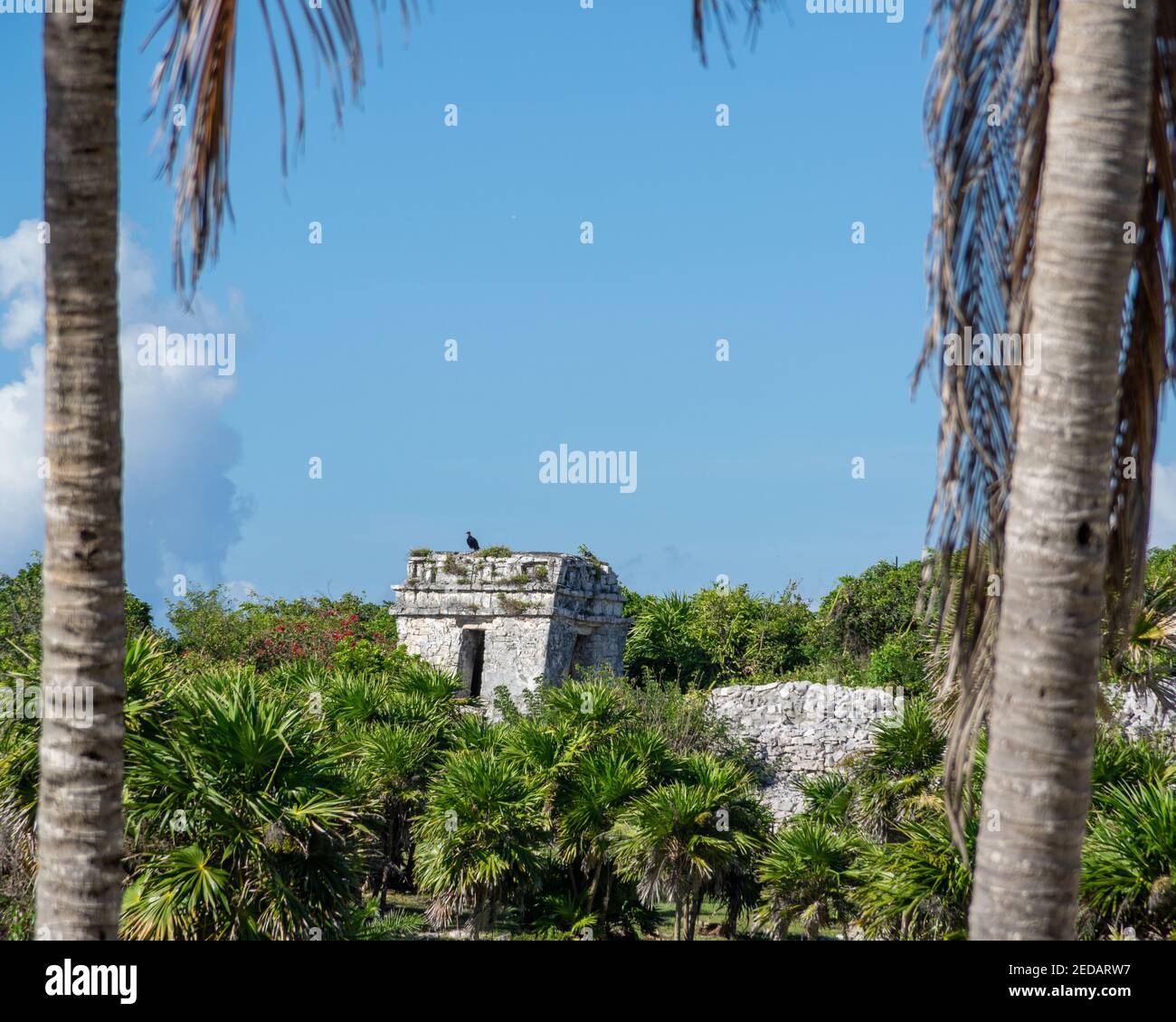 Le rovine maya di Tulum sulla penisola dello Yucatan nello stato di Quintana Roo, Messico Foto Stock