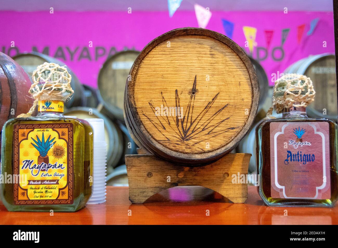 Mayapan Distilleria tradizionale Agave fuori Valladolid, Yucatán, Messico Foto Stock