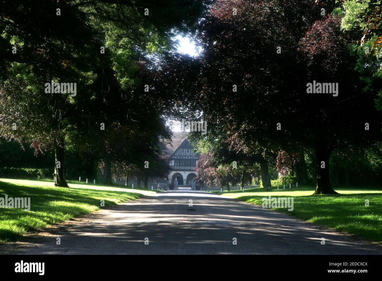 Allhallows School, Rousdon, Devon Foto Stock