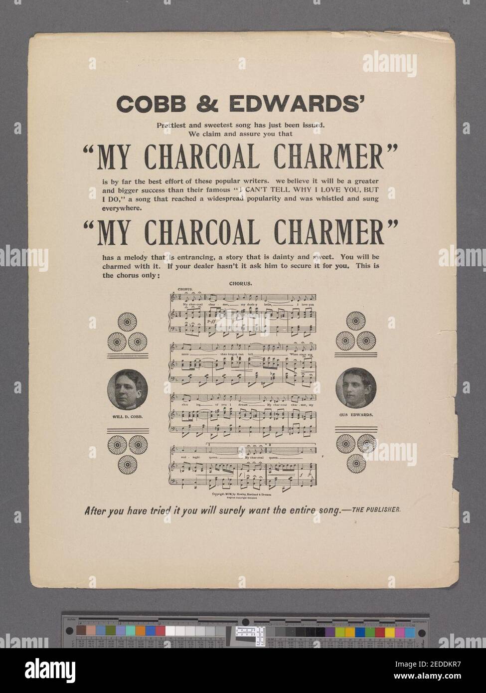 È davvero bello essere un soldato regolare Foto Stock