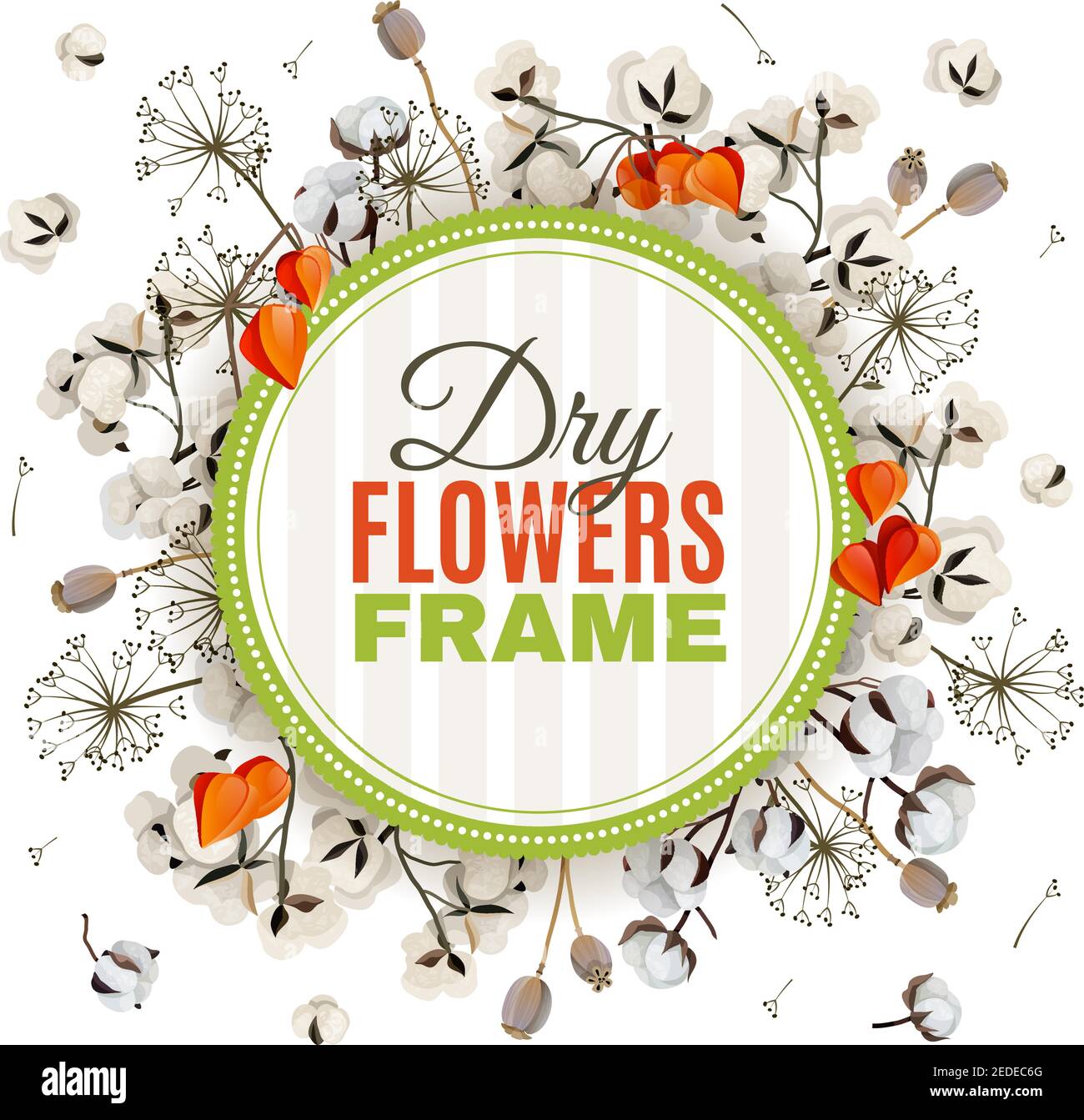 Sfondo floreale con cornice a fiori secchi costituita da papavero di cotone e l'illustrazione vettoriale piatta fiorisce con il physalis Illustrazione Vettoriale