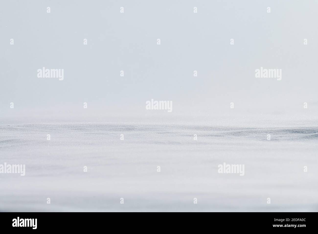 Splendido sfondo invernale con campo innevato. Texture invernale naturale. Vento su una superficie nevosa Foto Stock
