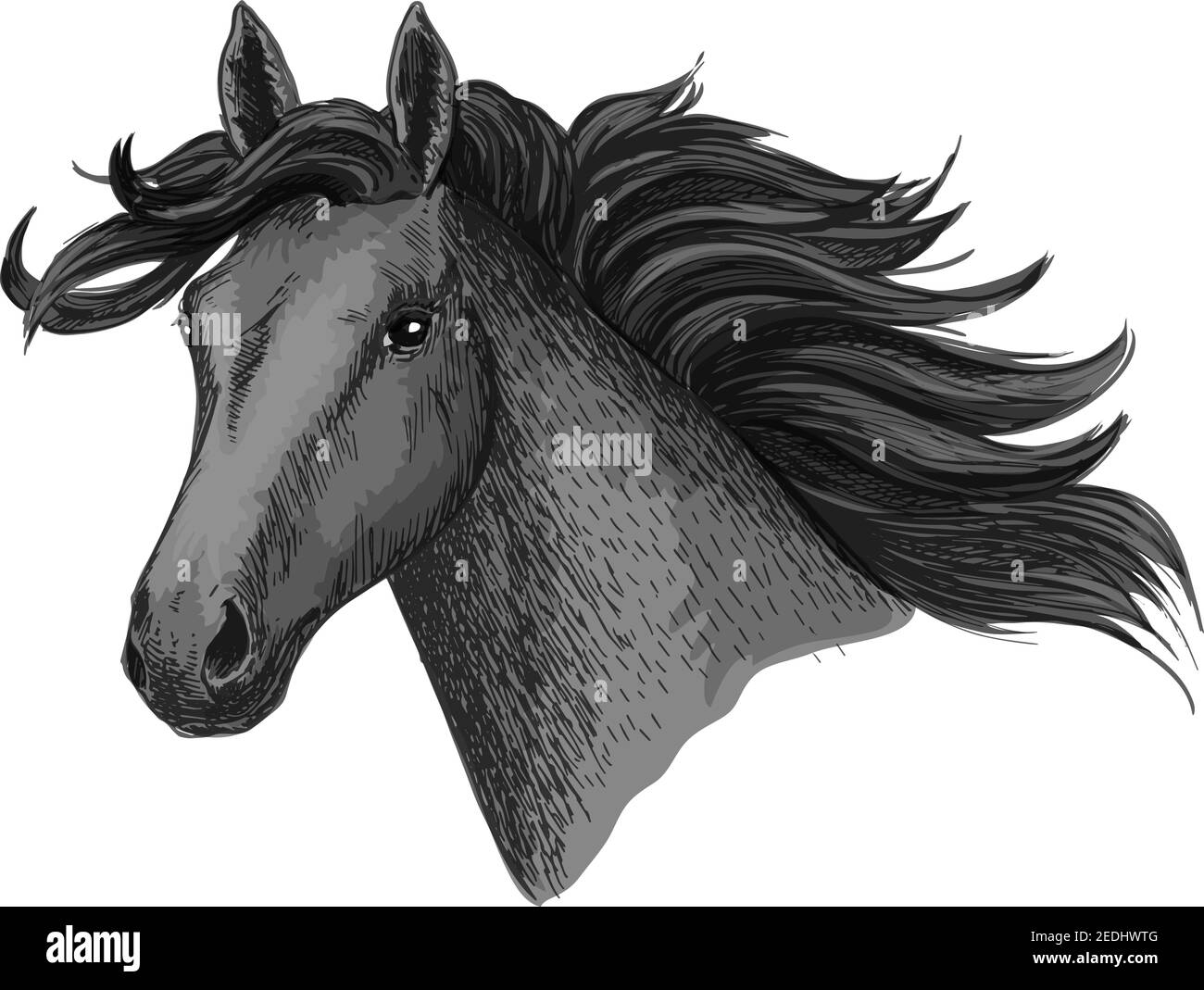 Testa di cavallo. Simbolo vettoriale di mustang o mare con manie ondeggianti per corse di cavalli o corse. Sketch di stallone per la gara di equitazione di animali equini o esibizionismo Illustrazione Vettoriale