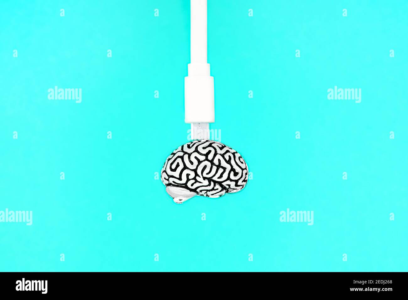 Cavo dati bianco collegato a una piccola copia in acciaio di un cervello umano isolato su sfondo blu. Concetto di educazione creativa e trasferimento delle conoscenze. Foto Stock