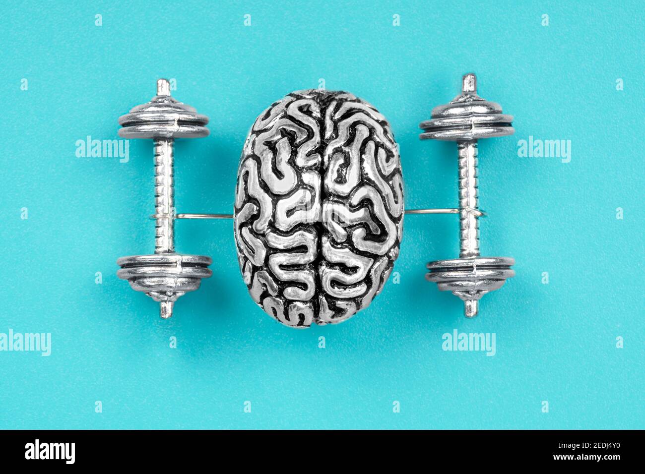 Composizione creativa fatta di una copia in acciaio di un cervello umano sollevamento manubri. Il concetto di esercizi cerebrali per rafforzare la mente. Foto Stock