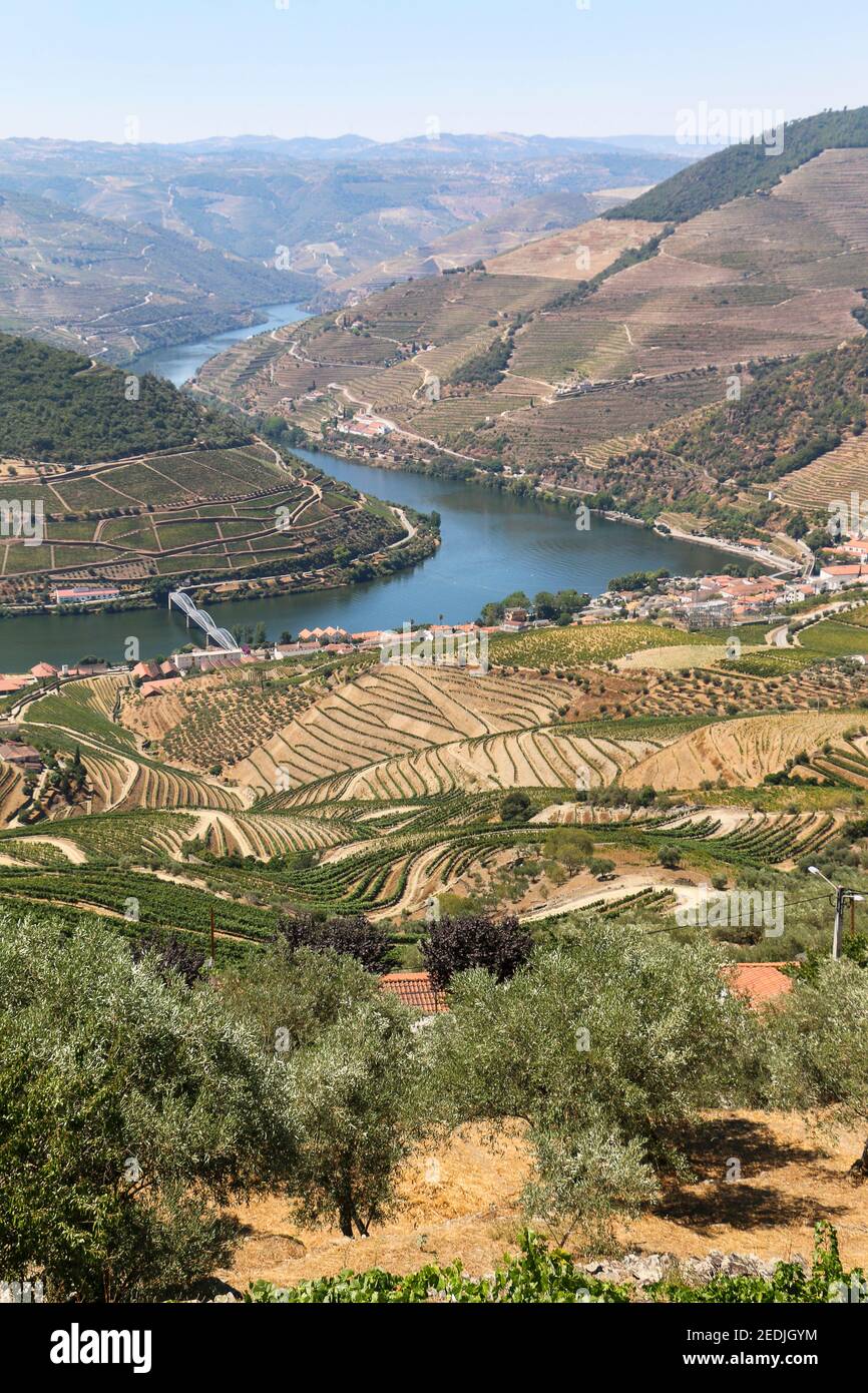 Valle del Douro vicino a Porto, Vista sulle colline del cortile del vino, famosa per il vino di porto, doc, Portogallo, birdview Foto Stock