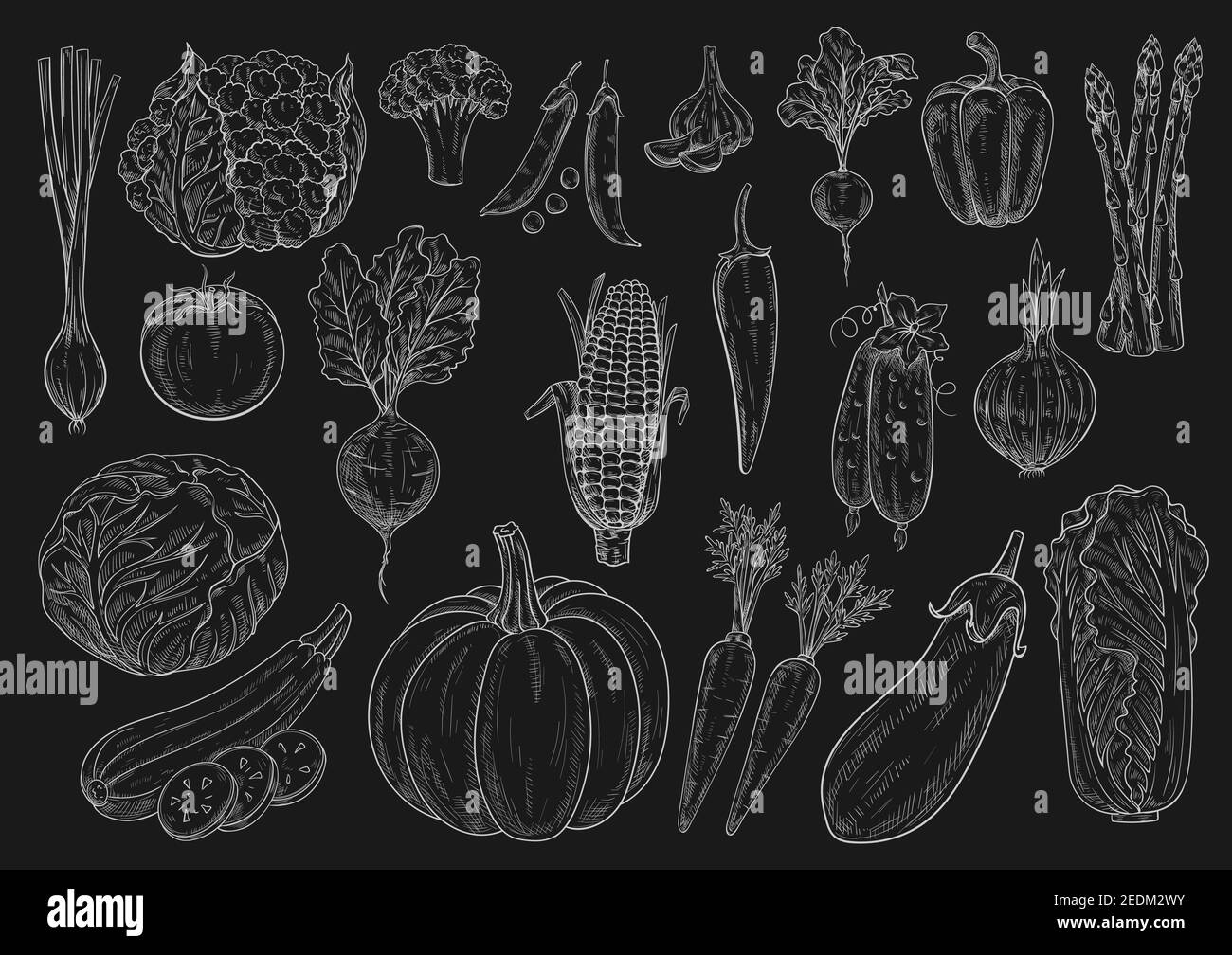 Verdure gesso disegni icone di cavolfiore e broccoli, cavolo di nappa cinese, porro di cipolla, zucca zucchina e piselli verdi, pomodoro, cetriolo e zucca Illustrazione Vettoriale
