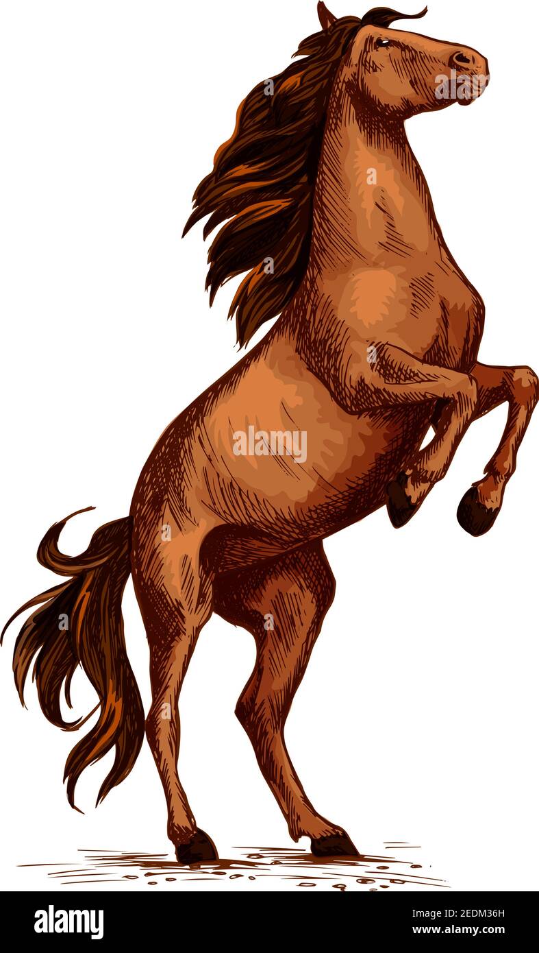 Allevamento di stalloni selvaggi o di cavalli. Trotter arabo bruno mustang sulle pere. Simbolo vettoriale per corse o corse sportive equine. Corsa di cavalli da corsa o mustang per Illustrazione Vettoriale