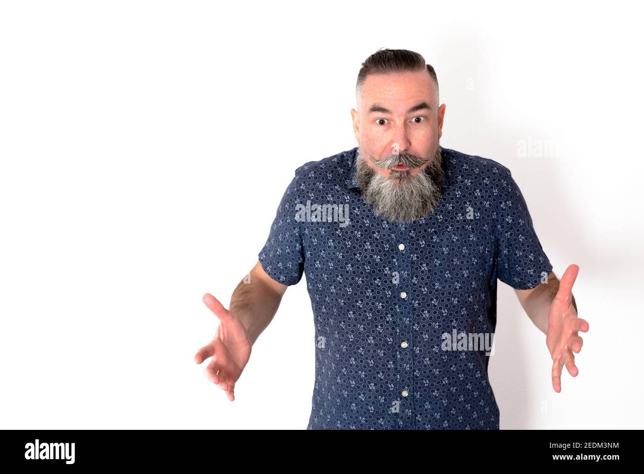 Uomo caucasico con una grande barba grigia di 40-45 anni, su sfondo bianco, con braccia aperte e espressione sorpresa Foto Stock