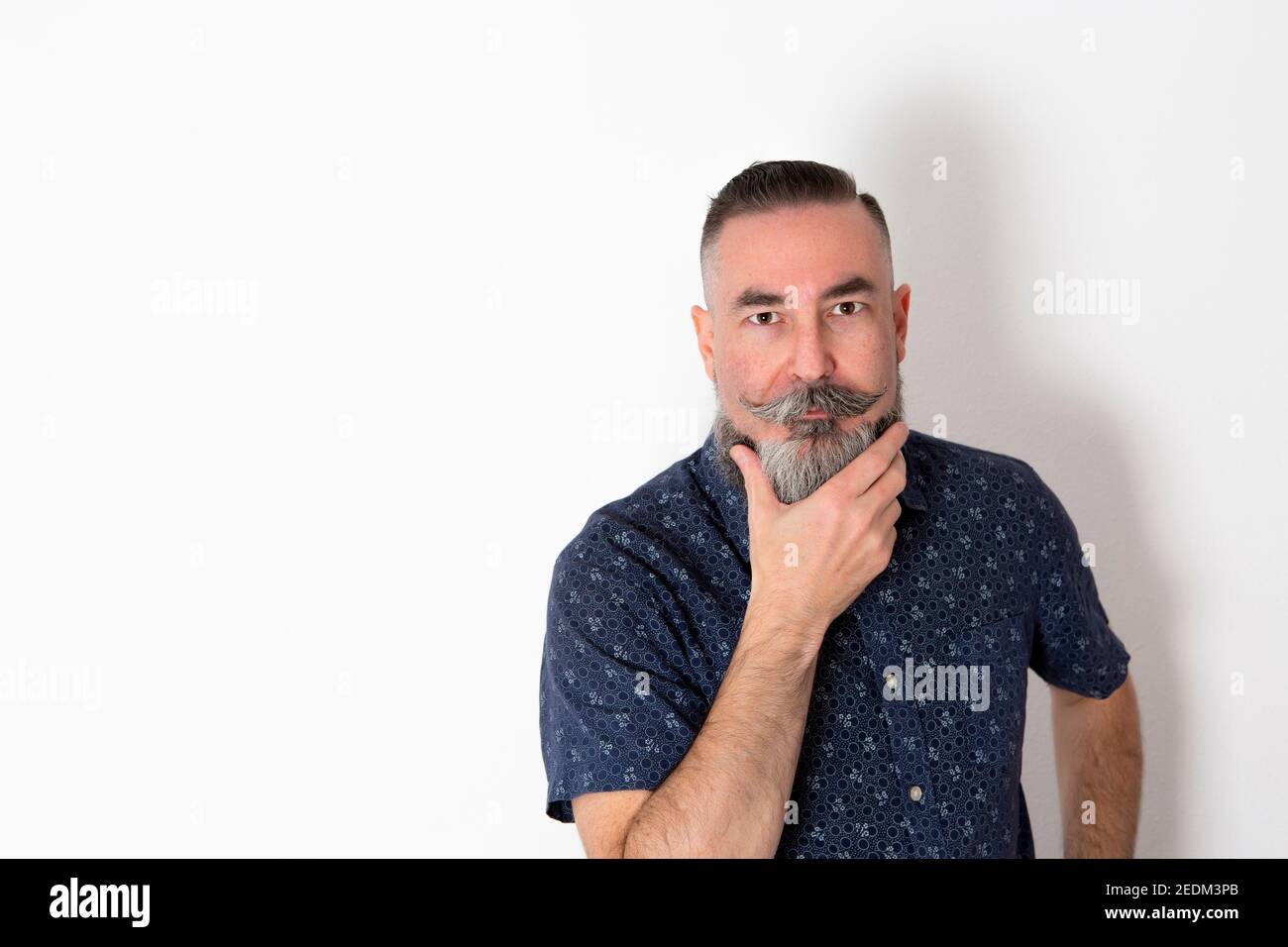 Hipster caucasico con una grande barba grigia di 40-45 anni, su sfondo bianco guardando dritto con la mano che fissa la barba Foto Stock