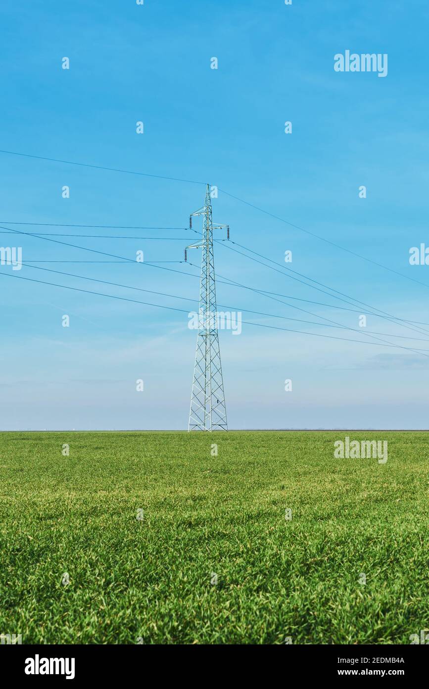 Distribuzione di energia elettrica, tralicci di linee elettriche nei campi di campagna nel pomeriggio soleggiato Foto Stock