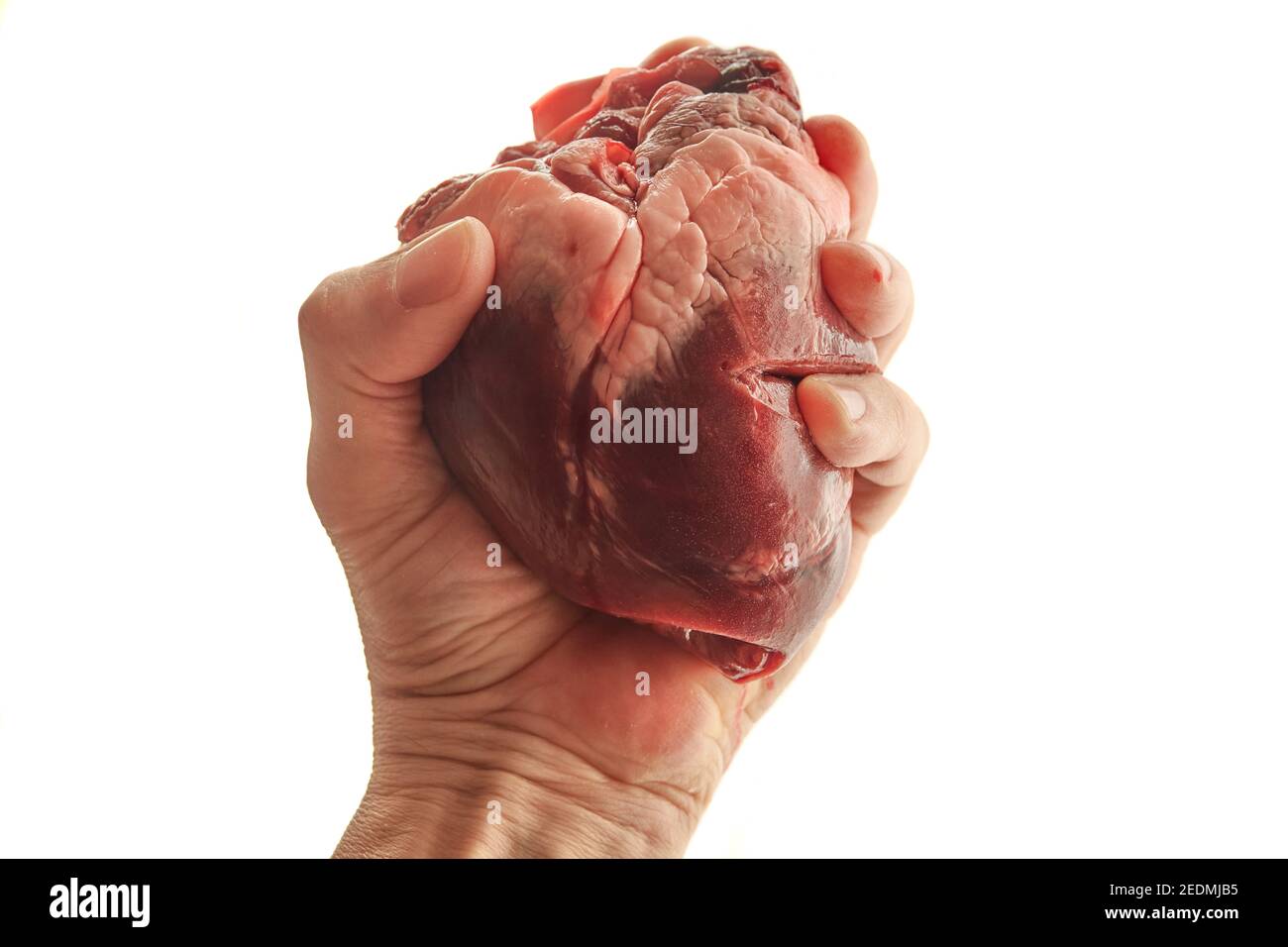 Cuore in mano umana vicino isolato su sfondo bianco Foto Stock