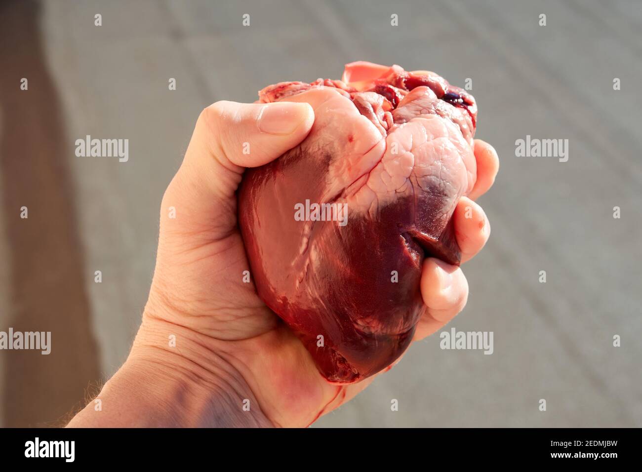 Cuore in mano umana vicino sul grigio sfocato sfondo Foto Stock
