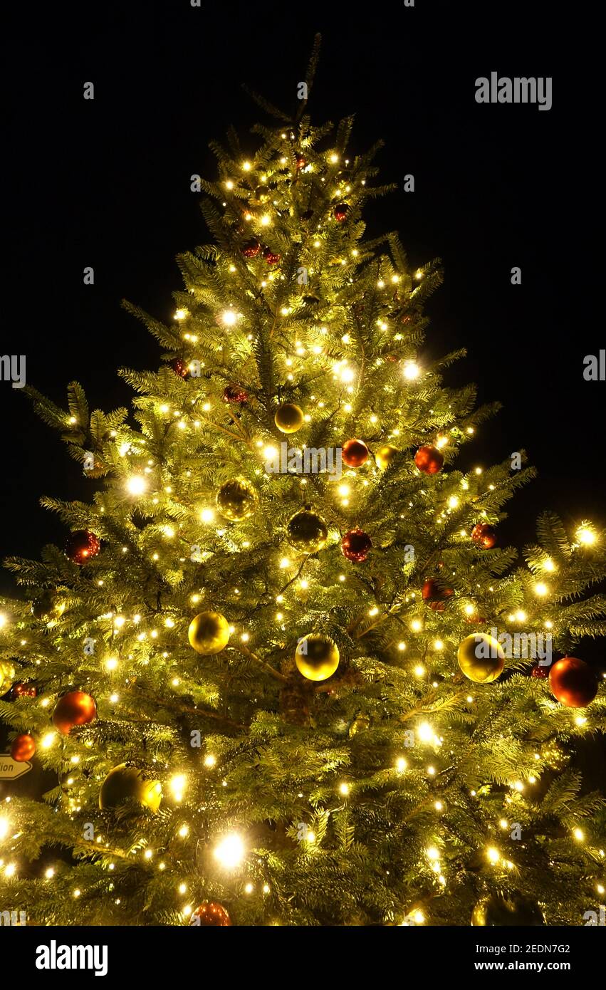 30.12.2019, Berlino, Brandeburgo, Germania - l'albero di natale decorato in modo festivo si illumina di notte. 00S191230D256CAROEX.JPG [VERSIONE DEL MODELLO: NON APPLICA Foto Stock